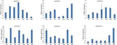 Corrigendum: Genome-Wide Identification and Expression Pattern Analysis of the HAK/KUP/KT Gene Family of Cotton in Fiber Development and Under Stresses